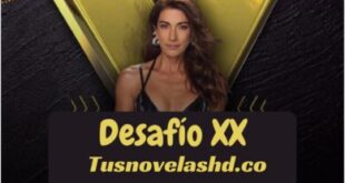 Desafío XX